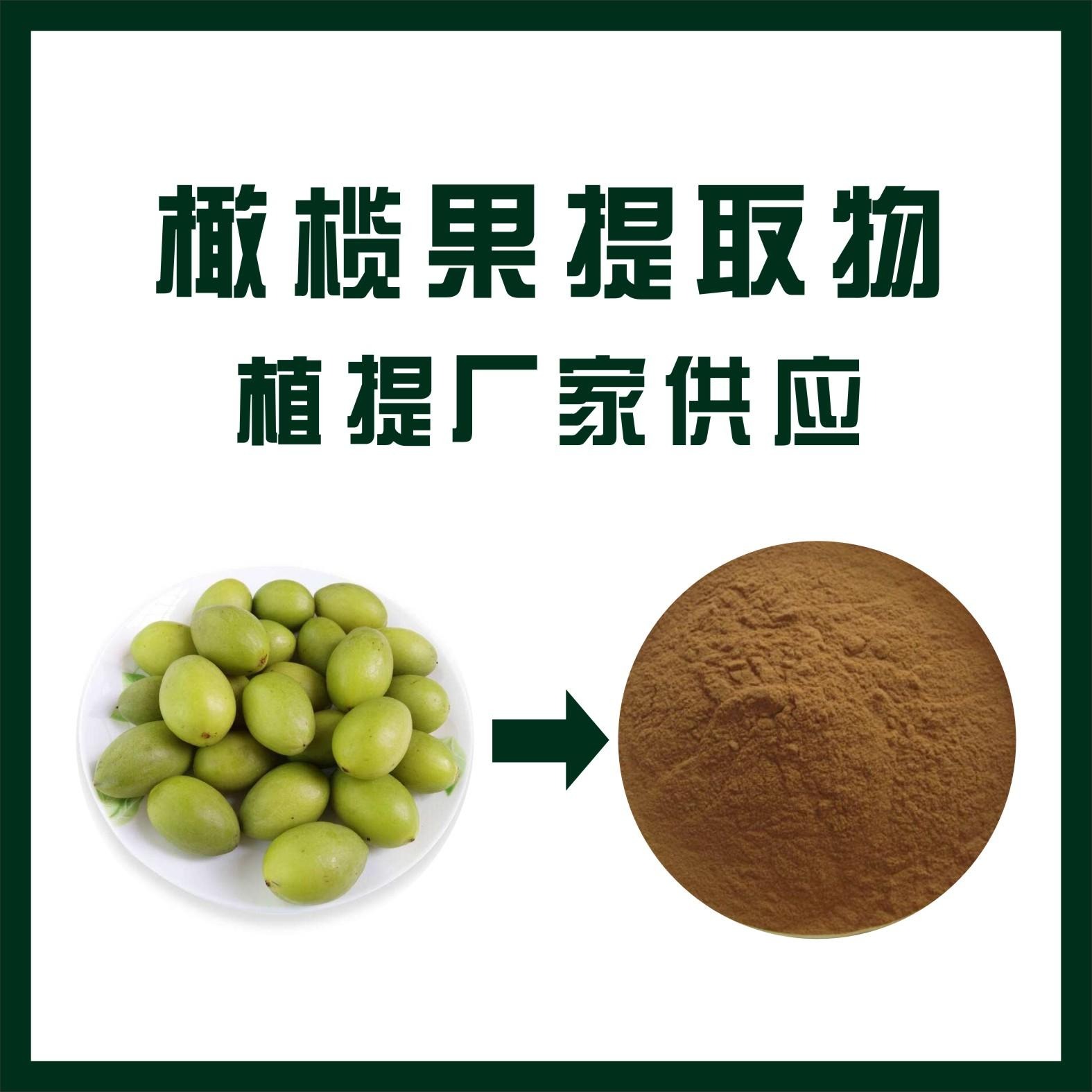 橄榄果提取物,Olive fruit extract