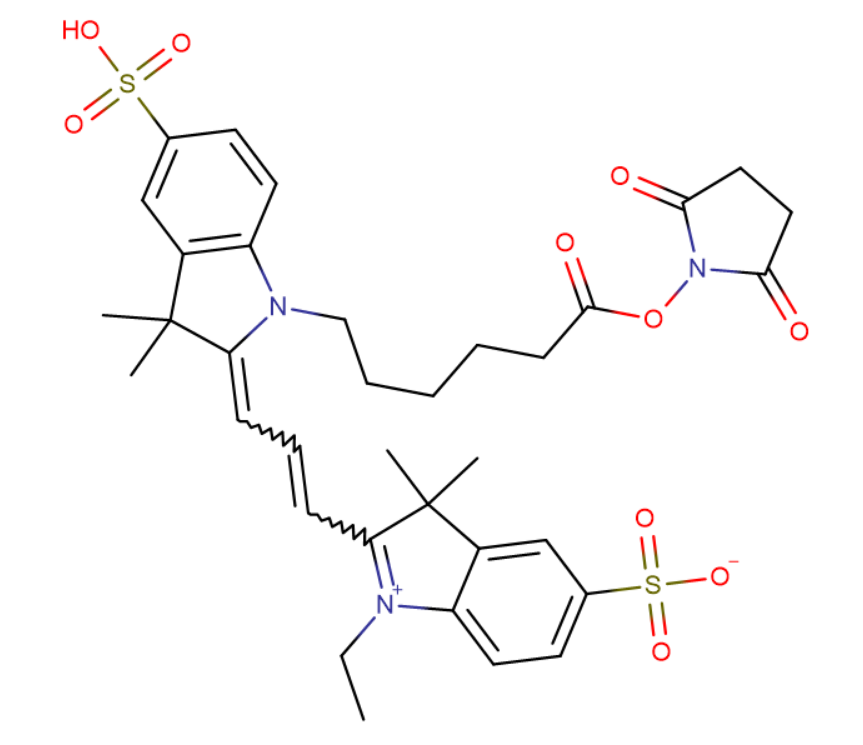 Cy3 NHS ester