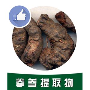 拳参提取物,Bistortae Rhizoma extract