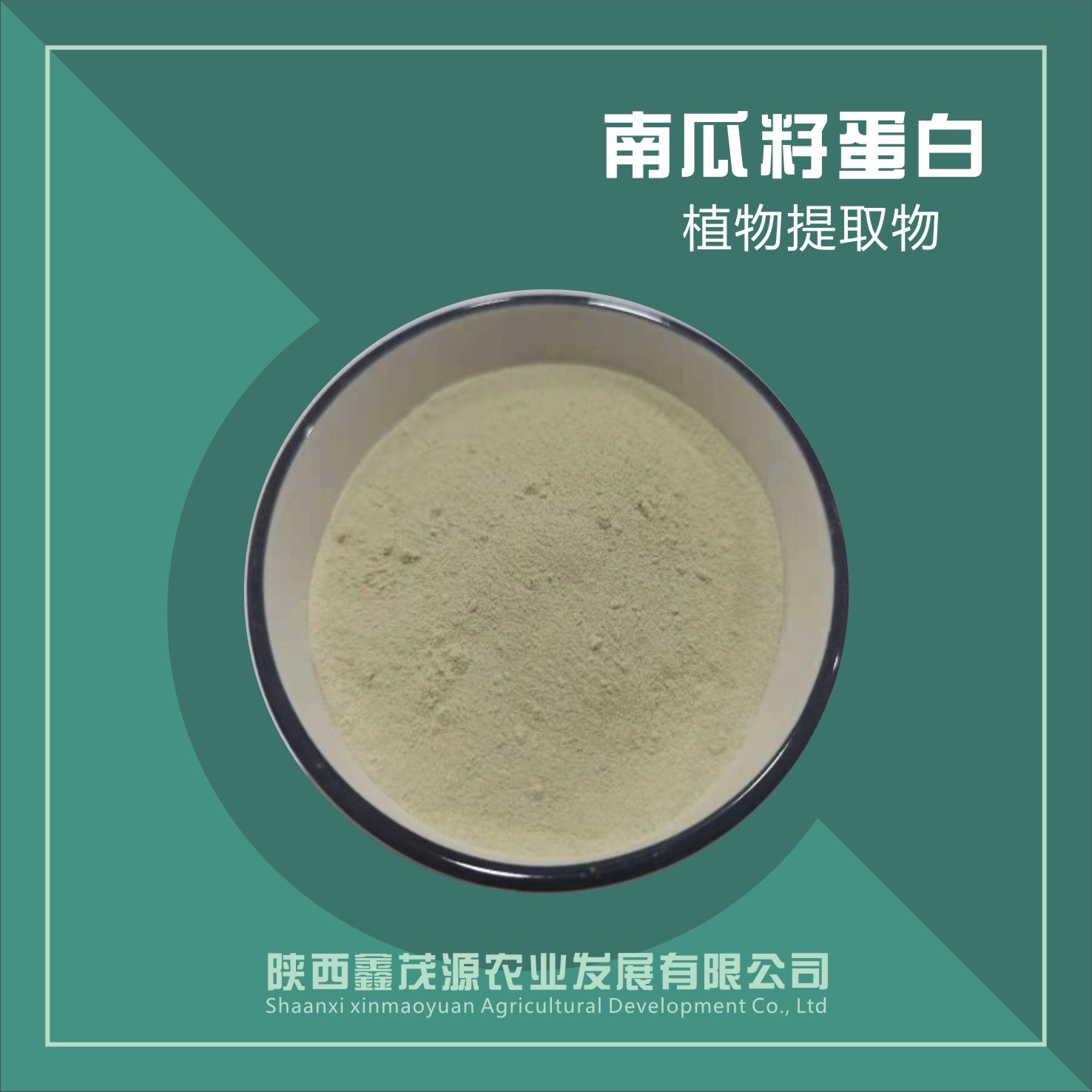 南瓜籽蛋白,Pumpkin seed protein