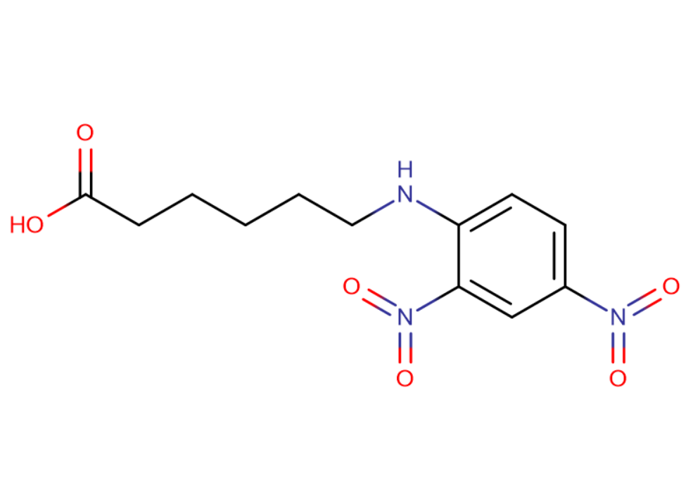 N-(2,4-二硝基苯)-6-氨基己酸,N-(2,4-DINITROPHENYL)-6-AMINOHEXANOIC ACID