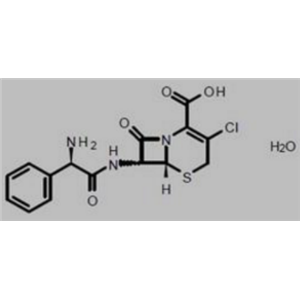 头孢克洛杂质