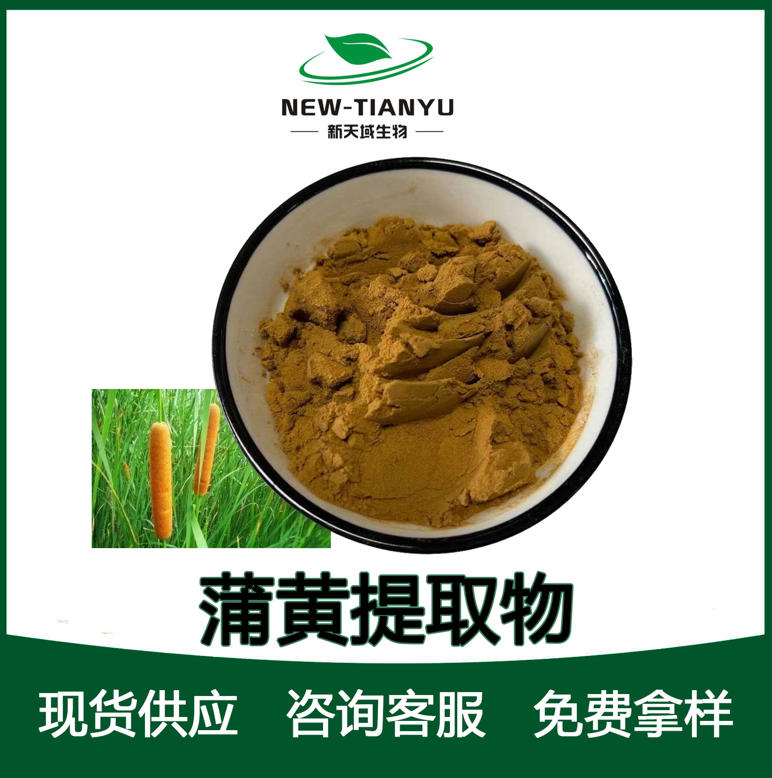 蒲黄提取物,Puhuang  Extract