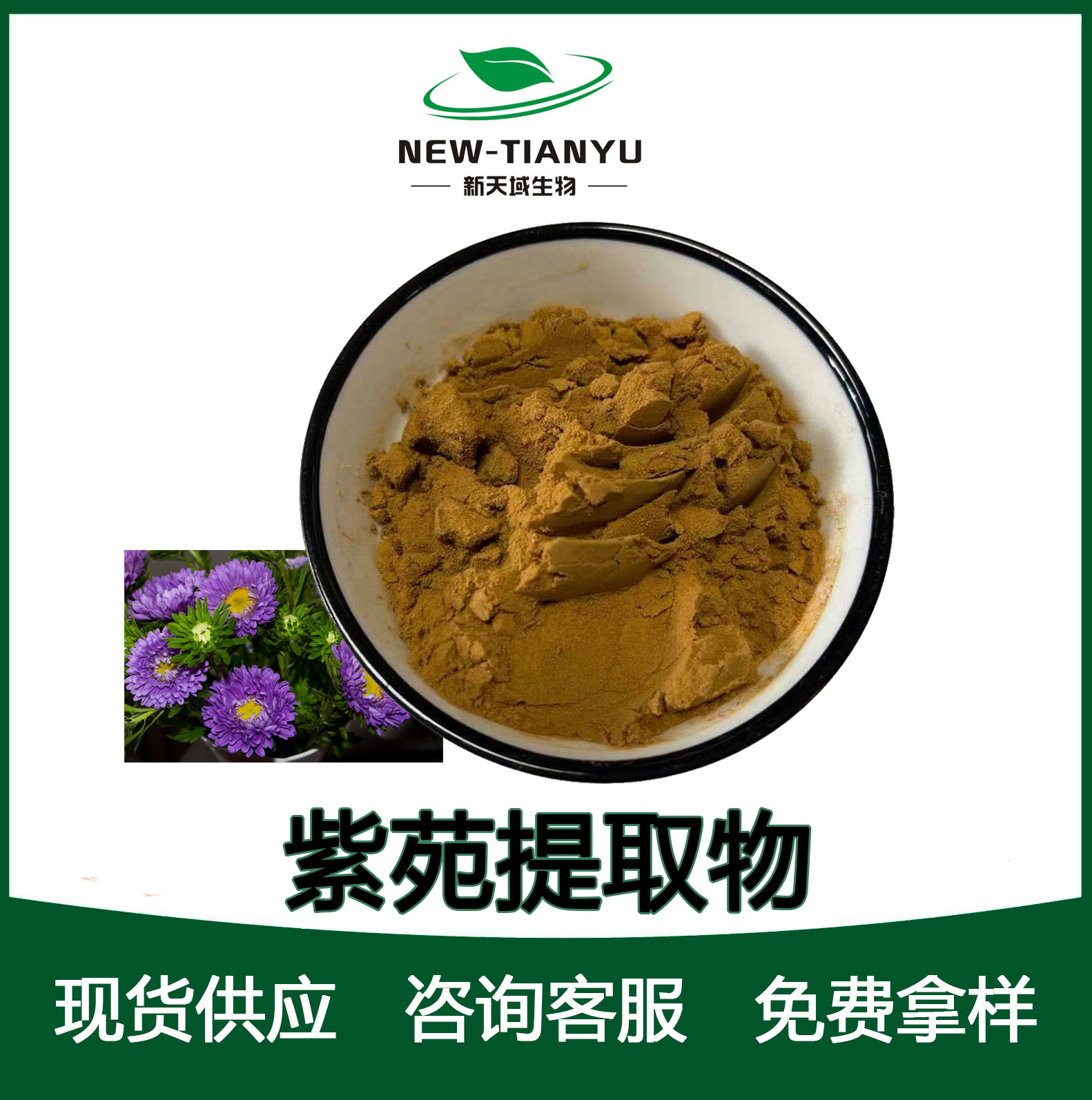 紫苑提取物,Asters  Extract