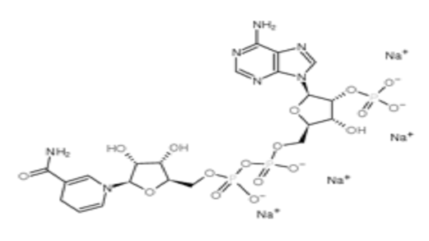 β-烟酰胺腺嘌呤二核苷酸磷酸还原型,β-Nicotinamide Adenine Dinuclotide