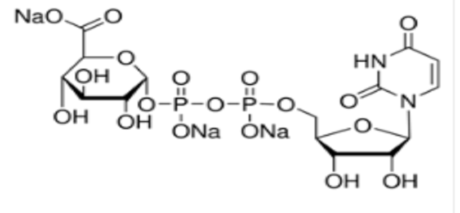 尿苷-5'-二磷酸葡萄糖醛酸三钠盐,Uridine 5'-diphosphoglucuronic acid trisodium salt