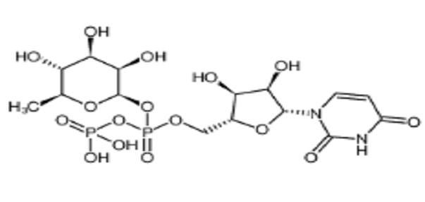 尿苷-5'-二磷酸鼠李糖,UDP-rhamnose