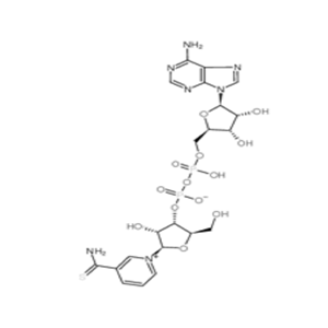 硫代氧化型辅酶I,Thio-Nicotinamide Adenine Dinuclotide