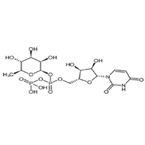 尿苷-5'-二磷酸鼠李糖