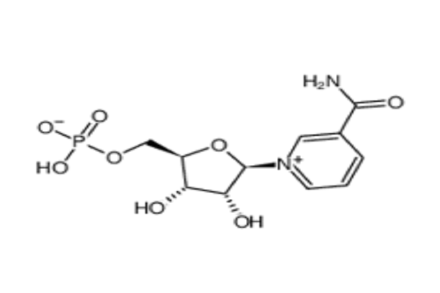 β-烟酰胺单核苷酸（NMN）,β-Nicotinamide Mononucleotide