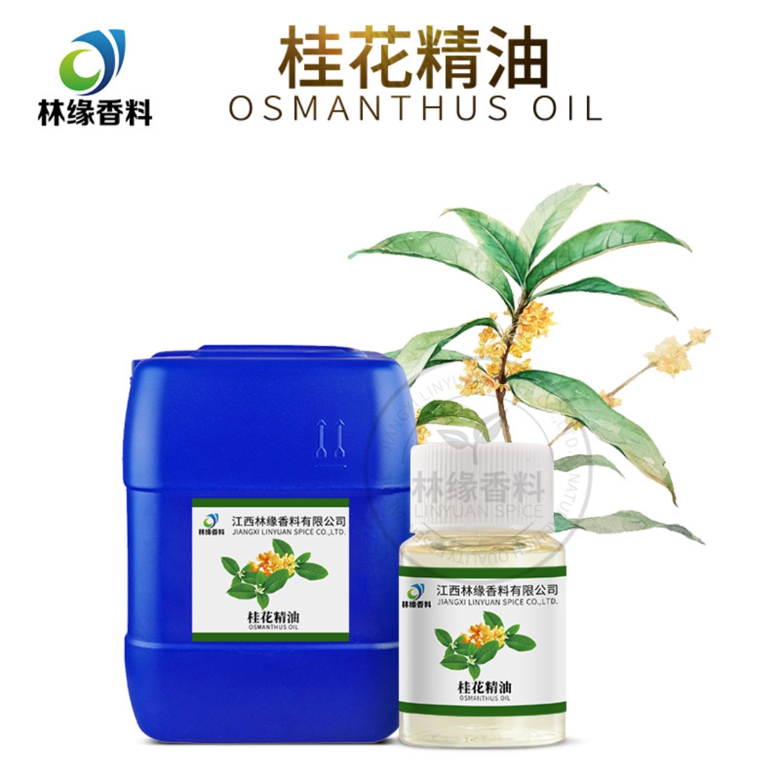 桂花油,Osmanthus oil
