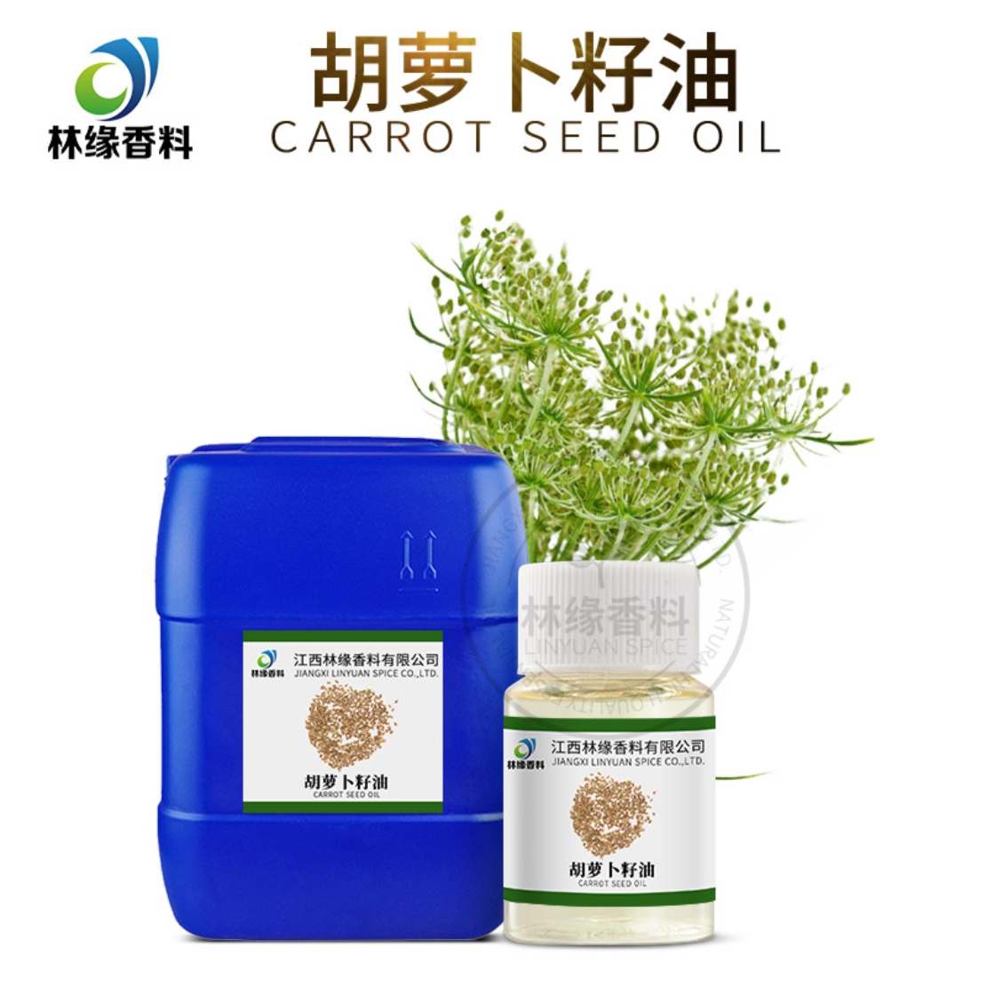 胡萝卜籽油,Carrot Seed Oil