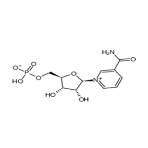 β-烟酰胺单核苷酸（NMN）,β-Nicotinamide Mononucleotide