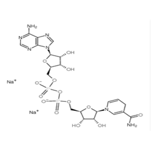 β-烟酰胺腺嘌呤二核苷酸还原型（NADH）