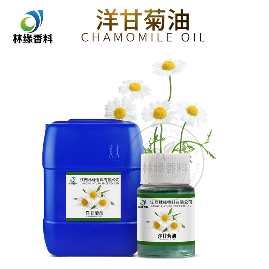 洋甘菊油,Matricaria Oil