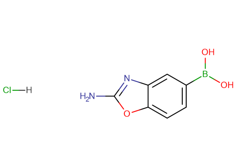 (2-氨基-1,3-苯并恶唑-5-基)硼酸盐酸盐,(2-Amino-1,3-benzoxazol-5-yl)boronic acid hydrochloride[]