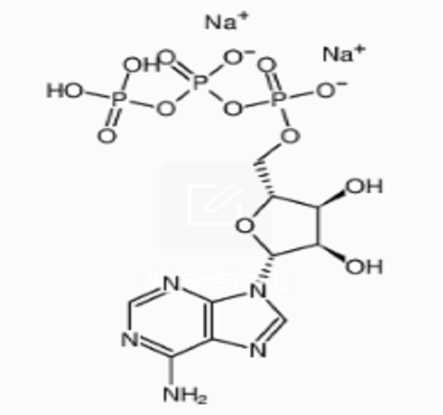 三磷酸腺苷二钠盐(ATP),Adenosine 5'-triphosphate disodium salt