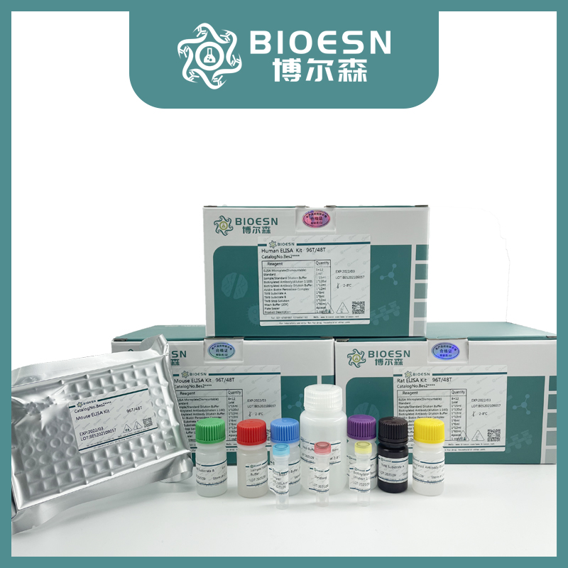 human血小板衍生生长因子AB(PDGFAB) ELISA Kit,PDGFAB ELISA Kit