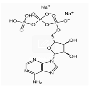 三磷酸腺苷二钠盐(ATP),Adenosine 5
