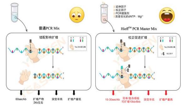 轉(zhuǎn)基因大豆EPSPS基因核酸