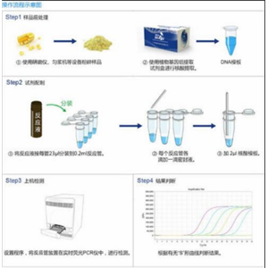 麥ubiquitine 基因核酸試劑盒