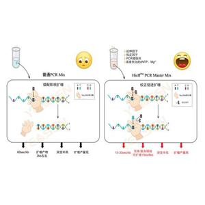 轉(zhuǎn)基因大豆EPSPS基因核酸