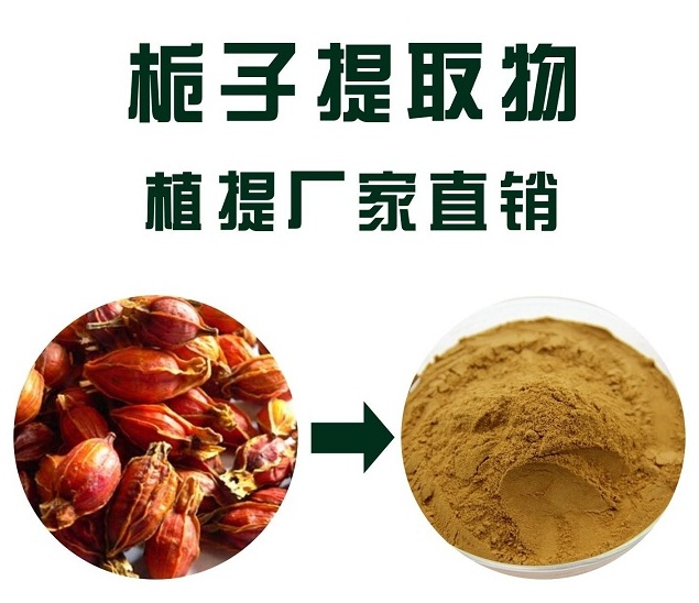 栀子提取物,Gardenia extract