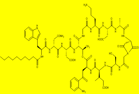 脱水达托霉素,9-(2,5-d|Dioxo-L-3-amino-1-pyrrolidineacetic acid)-10-deglycine Daptomycin