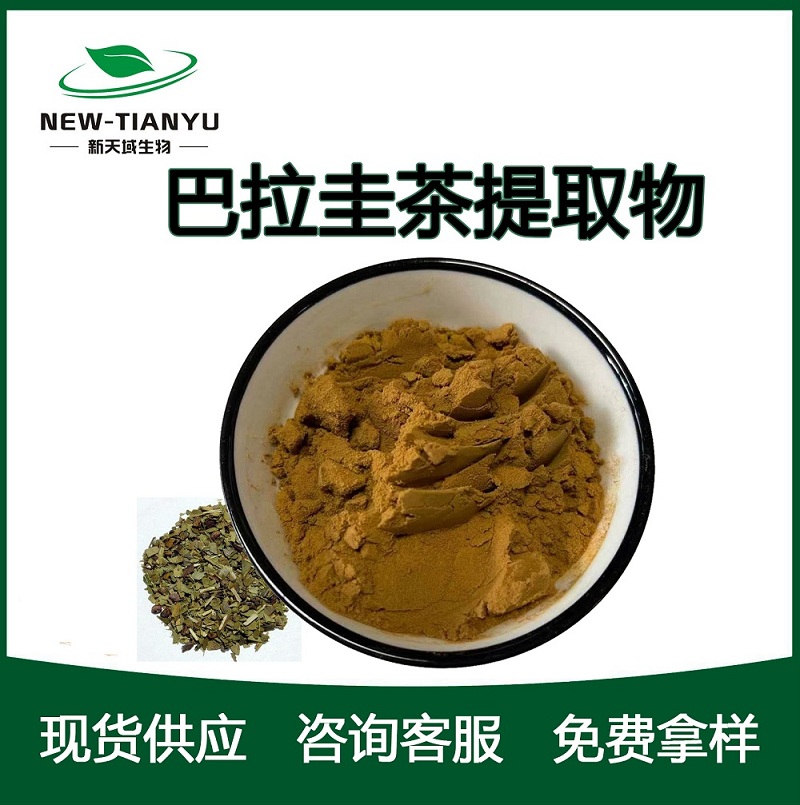 巴拉圭茶提取物,Yerba Mate extract