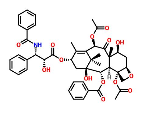 紫杉醇,Paclitaxel