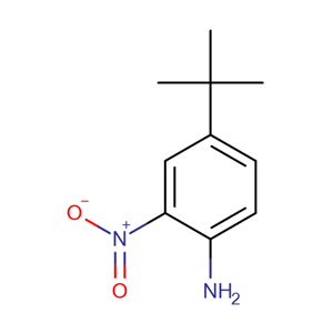 4-(叔丁基)-2-硝基苯胺