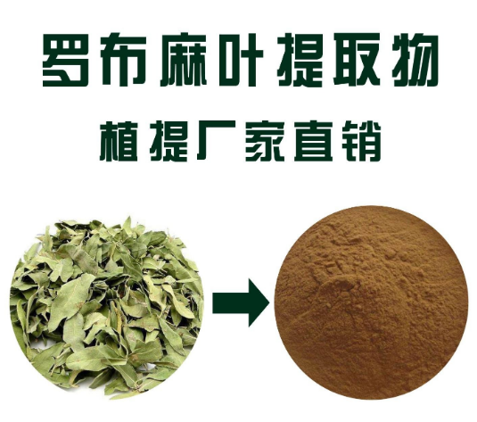 罗布麻提取物,Apocynum venetum extract