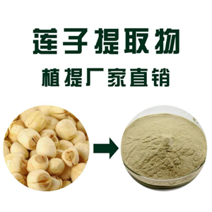 蓮子提取物,Lotus seed extract