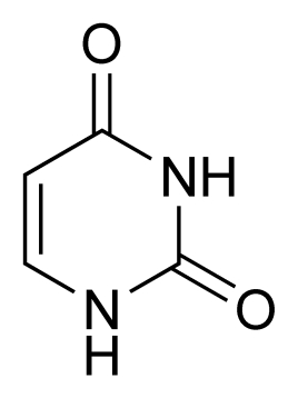 尿嘧啶,Uracil