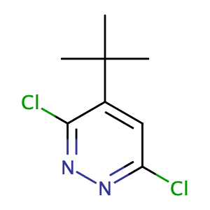 4-叔丁基-3,6-二氯哒嗪,4-tert-Butyl-3,6-dichloropyridazine
