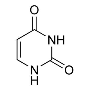 尿嘧啶,Uracil