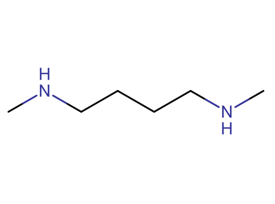 N,N-二甲基1,4-丁烷二胺,N,N'-DIMETHYL-1,4-BUTANEDIAMINE