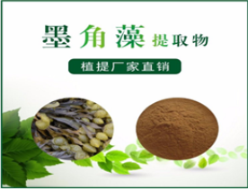 墨角藻提取物,Bladderwrack Extract