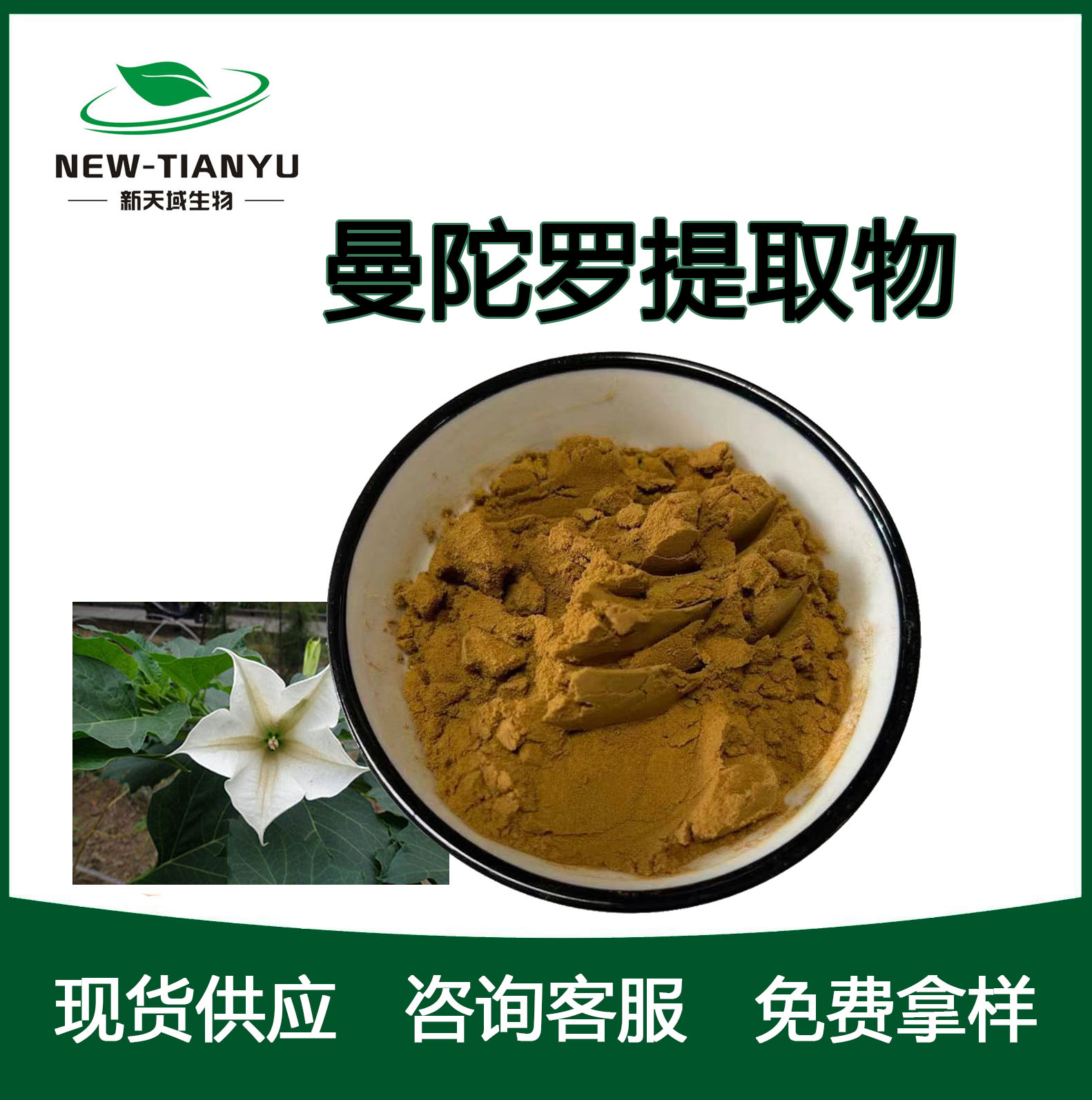 曼陀罗提取物,Datura extract