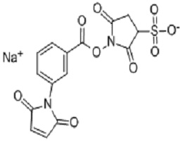 M-马来酰亚胺苯甲酸琥珀酰亚胺酯