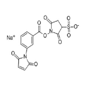 M-马来酰亚胺苯甲酸琥珀酰亚胺酯