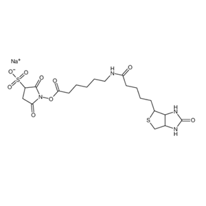 生物素化-epsilon-氨基己酸-N-羟基磺基丁二酰亚胺活化酯,Sulfo-NHS-LC-Biotin