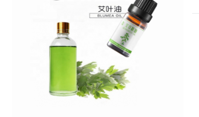 艾蒿油,Armoise oil