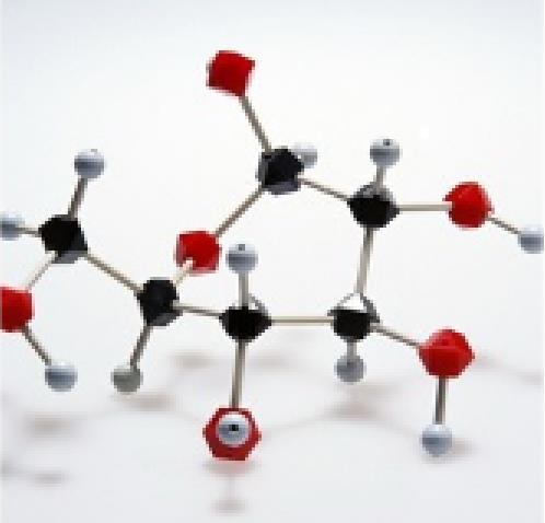 茴拉西坦,Aniracetam