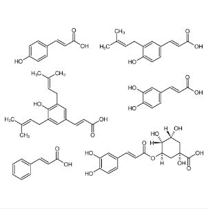 蜂胶,2-Methoxyphenol