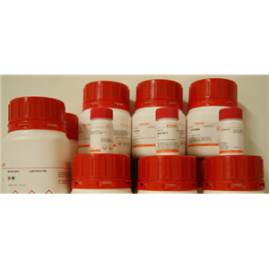 胎儿弯曲菌(CF)核酸定量试剂盒