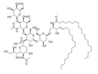 單唾液酸神經(jīng)節(jié)苷脂,Ganglioside GM