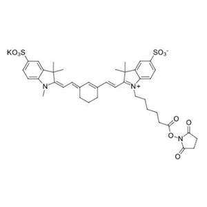 水溶性Cy7 NHS，胺活性琥珀酰亞胺酯