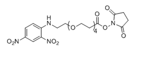 DNP-四聚乙二醇-丙烯酸琥珀酰亚胺酯,DNP-PEG4-NHS ester