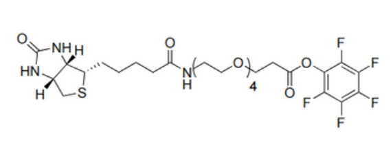 Biotin-dPEG4-TFP ester